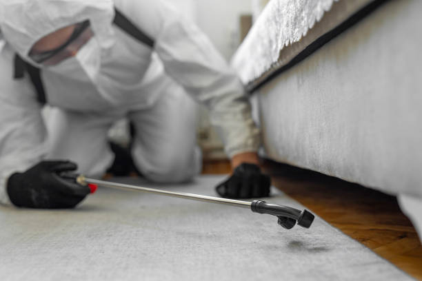 Professional Bed Bug Control technician working in Fulton, IL